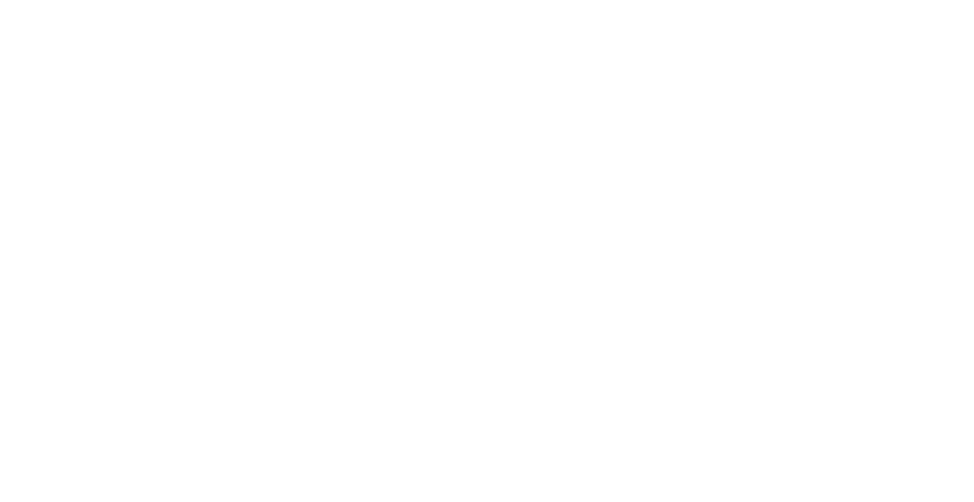 lo spirit merch
